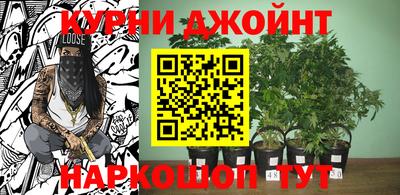 МДПВ Обь