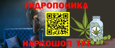 Альфа ПВП Обнинск